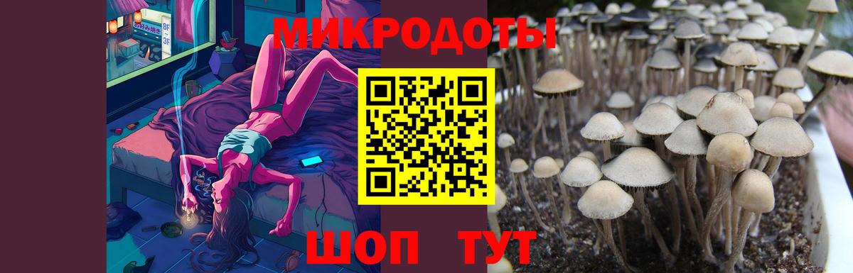 Южно-Сахалинск  Псилоцибиновые грибы мухоморы  Галлюциногенные грибы ЛСД  Вход с VPN 